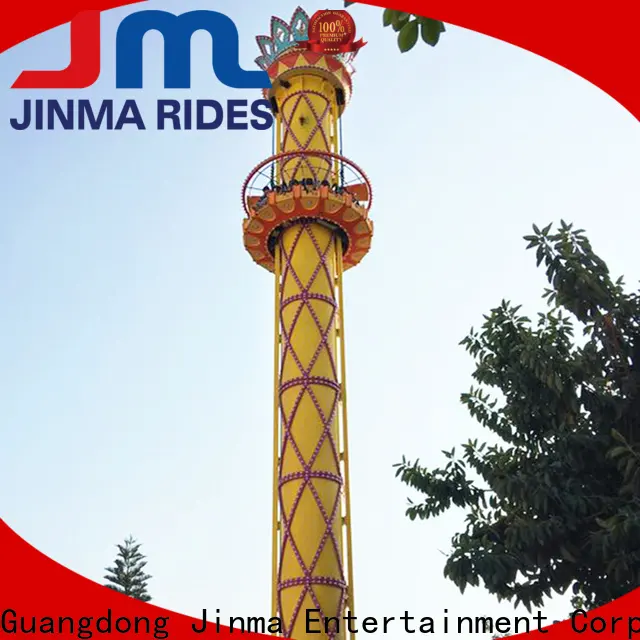 Custom high quality sky swing ride factory for sale 1