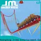 Wholesale roller coaster price construction for sale 1