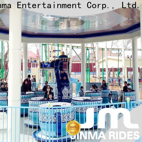Jinma Rides Wholesale best viking ride China for sale 1