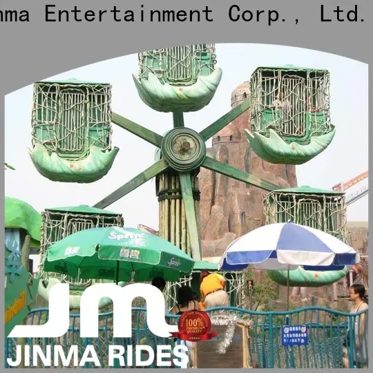 Jinma Rides Bulk purchase custom upside down ferris wheel builder for sale 1