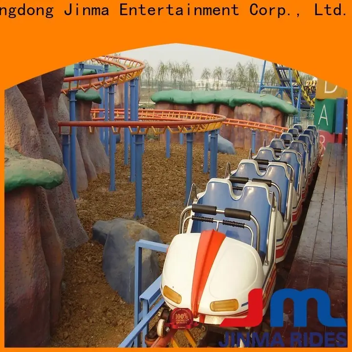 golden horse purple roller coaster manufacturers for sale 1