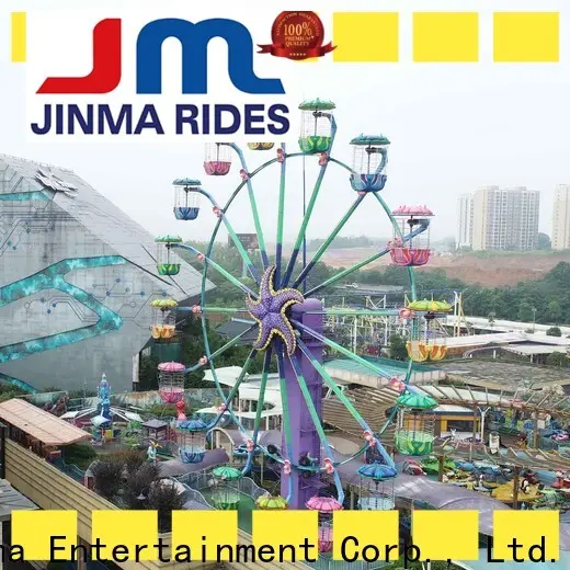 Jinma Rides giant wheel Supply for sale 1