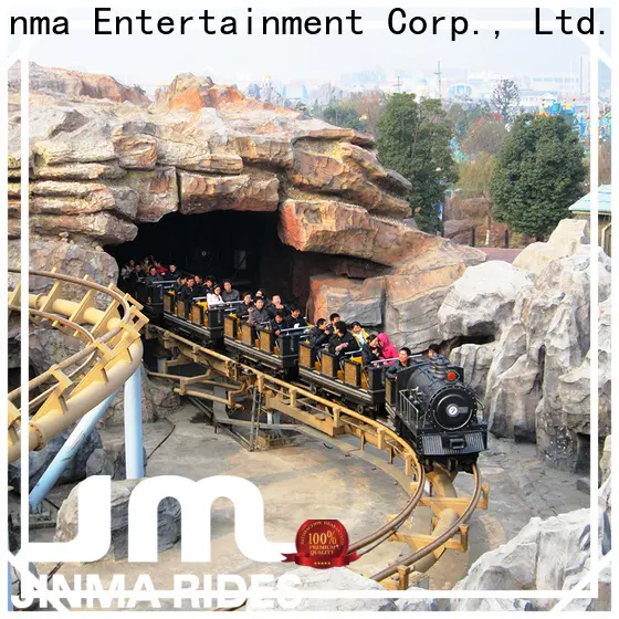 Bulk purchase roller coaster car for sale price on sale 1