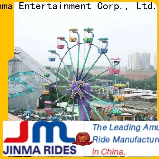 Jinma Rides mini ferris wheel price on sale 1