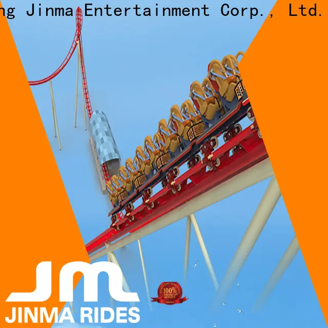 Wholesale custom fastest roller coaster factory on sale 1