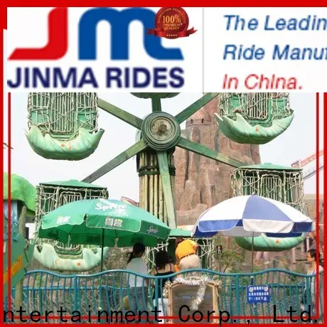 Jinma Rides big wheel amusement park manufacturers for sale 1