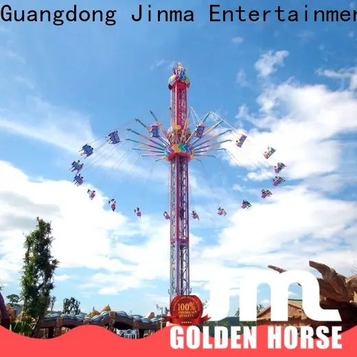 Custom high quality carnival swing ride Supply on sale 1