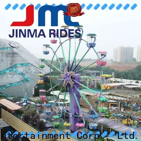 Jinma Rides Wholesale fairy wheel factory for sale 1