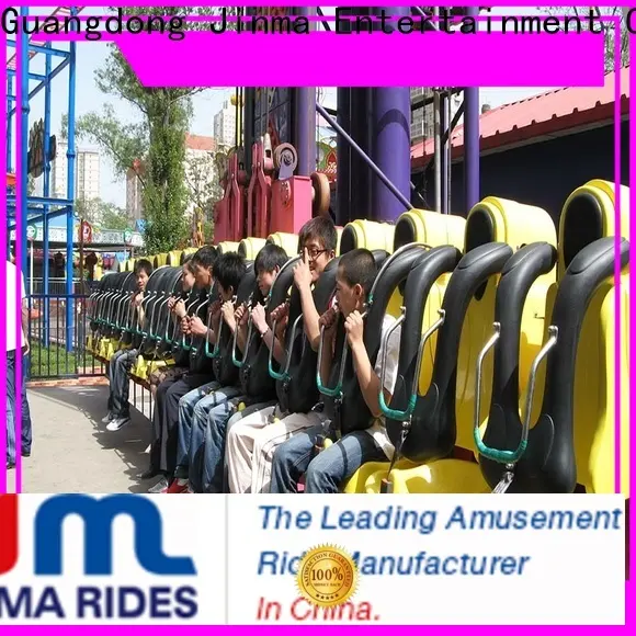 Top carnival swing ride for sale maker on sale 1