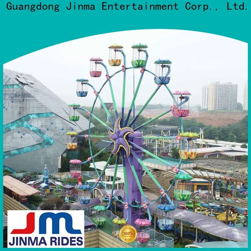 Jinma Rides Custom high quality millennium wheel company on sale 1
