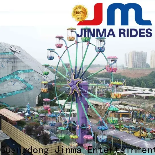 Jinma Rides Wholesale best mini ferris wheel for sale construction on sale 1