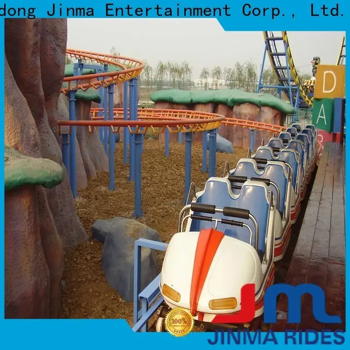 Bulk purchase custom purple roller coaster factory for sale 1