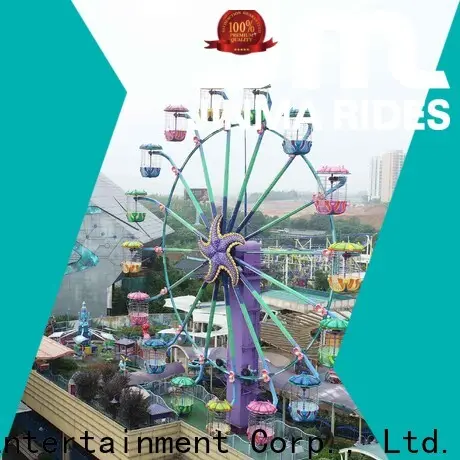 New spinning ferris wheel Supply on sale 1