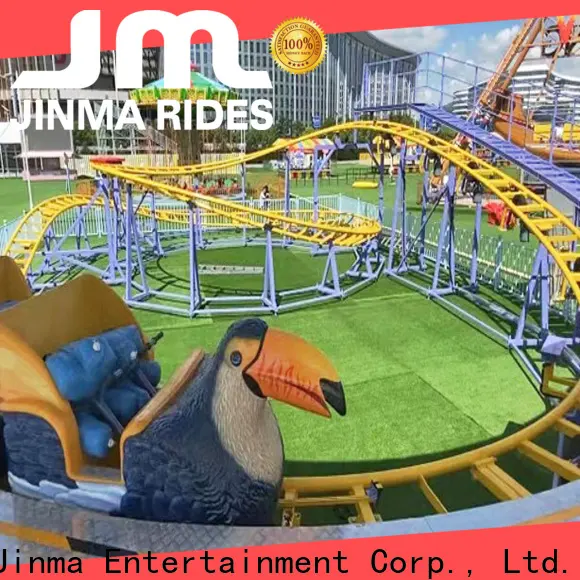 High-quality crazy roller coaster rides Supply for promotion 1