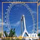 Jinma Rides Bulk purchase best high roller ferris wheel price company for sale 1
