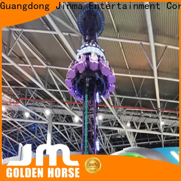 Jinma Rides amusement park swing ride for sale price on sale 1