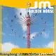Jinma Rides swing ride for sale price for sale 1