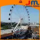 Jinma Rides swinging ferris wheel builder for sale 1