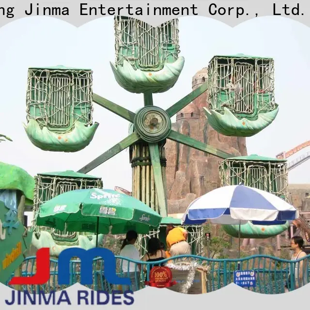 Jinma Rides ferris wheel for sale design on sale 1