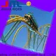 Jinma Rides Wholesale tilting coaster Suppliers for promotion 1