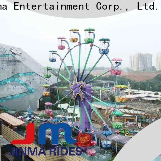 Jinma Rides Bulk buy romantic ferris wheel design on sale 1