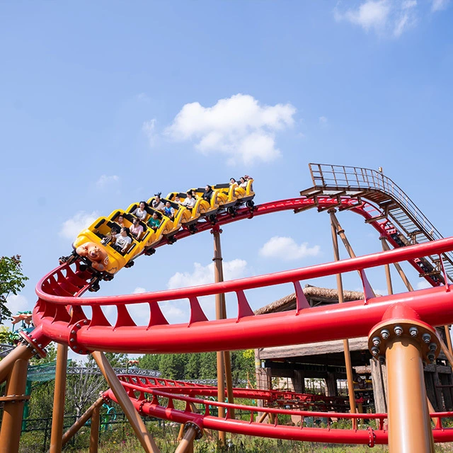 Family Roller Coaster KSC-16M 1