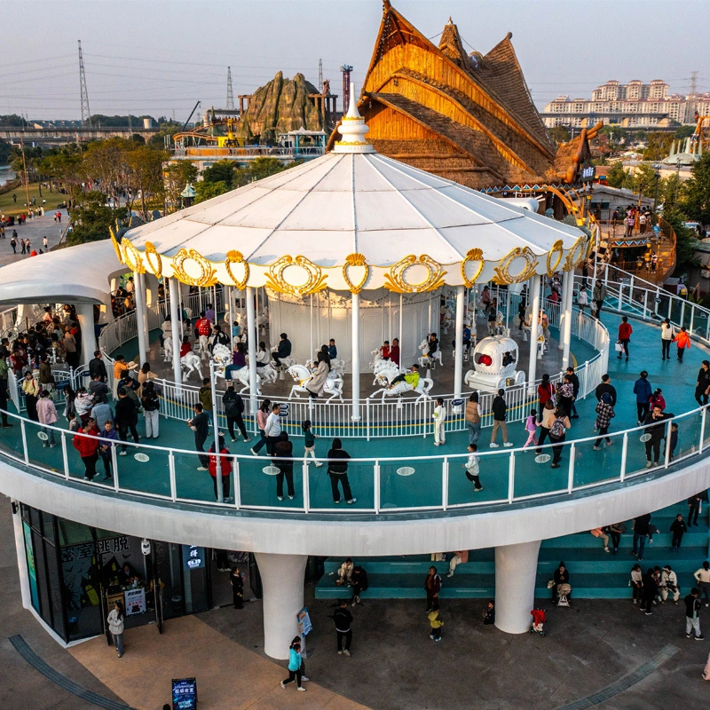 Amusement Park Swing Carousel DW-48A 1