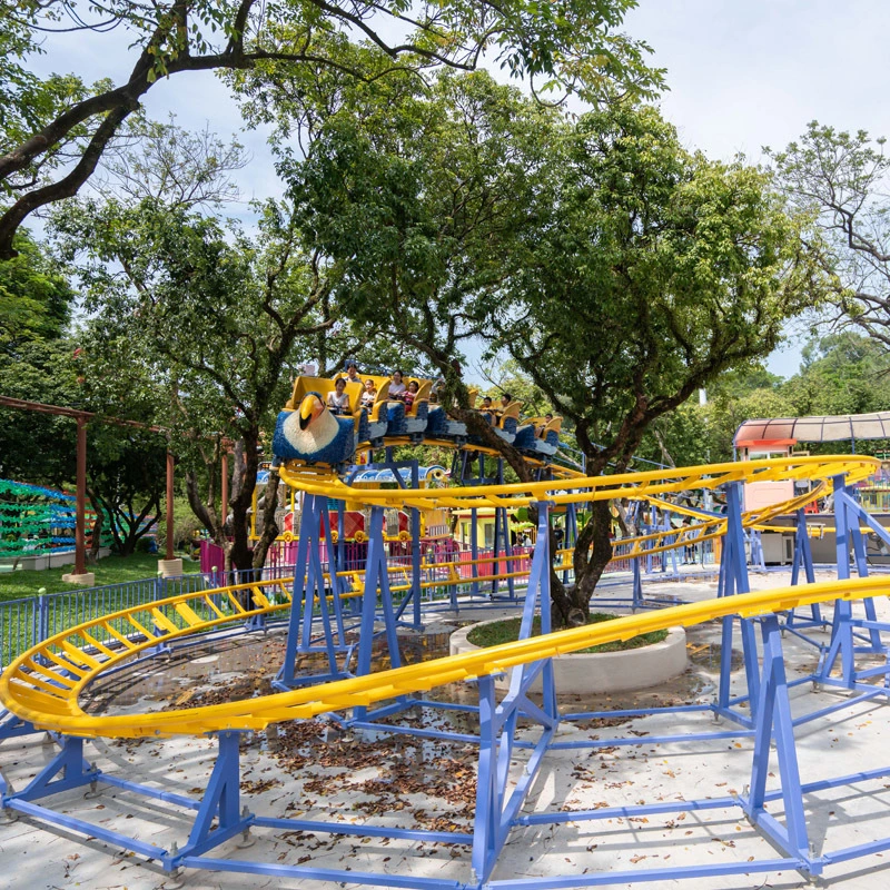 Amusement Park Junior Coaster Family Roller Coasters KSC-12A 1