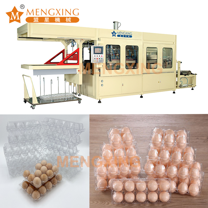 Mengxing Punching Hole Vacuum Forming Food Package Products Machine with Cutting Function Thermoforming Machine 4