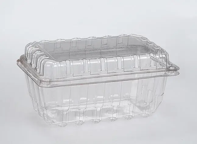 Disposable Plastic Fruit Container Forming Machine (MFPC 7660) 1