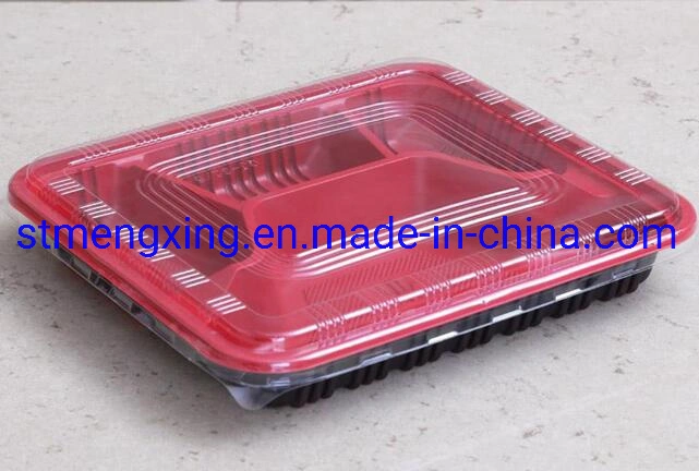 Lunch Box Forming Machine (Mengxing) 1