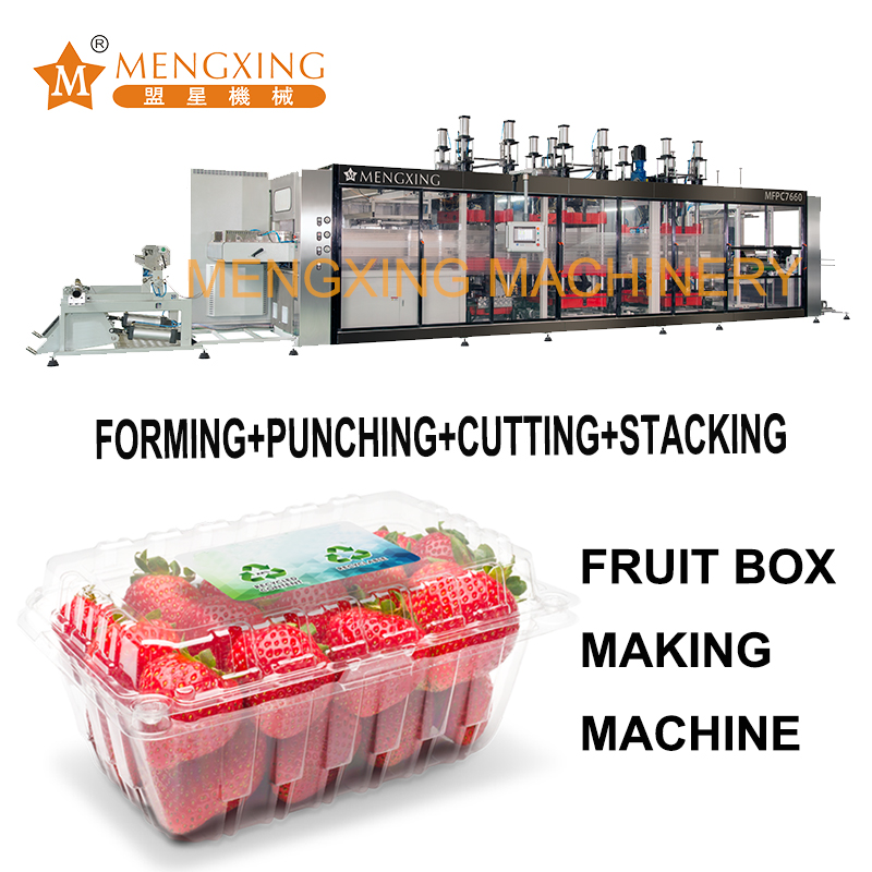 Mengxing 4 Stations Thermoforming Machine Fruit Box Making Machine ...