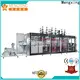 Mengxing high-performance tray forming machine oem&odm easy operation 1