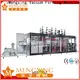 high-performance plastic thermoforming machine best factory supply efficiency 1
