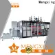 Mengxing tray forming machine custom for sale 1