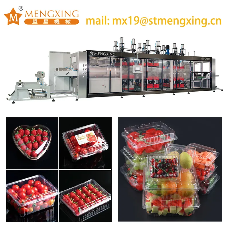 Fruits Clamshell Packing Box Vacuum Thermoforming Making Forming Machine