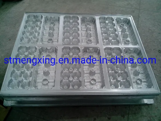 Automatic Clamshell Box Forming Machine (Mengxing)