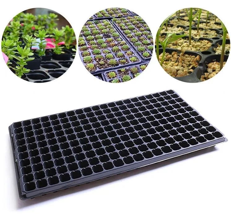 Plant Vegetable Tray Flower Seeding Tray Crop Seed Tray Pressure Vacuum Forming Machine