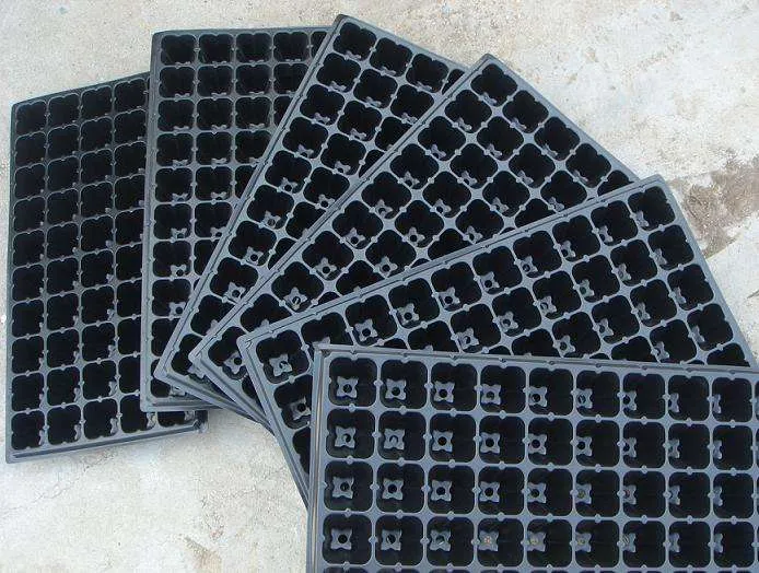 High Survival Tray Seedling Cover Plastic Making Machine Plastic Seed Tray Thermoforming Machine Vacuum Forming Machine