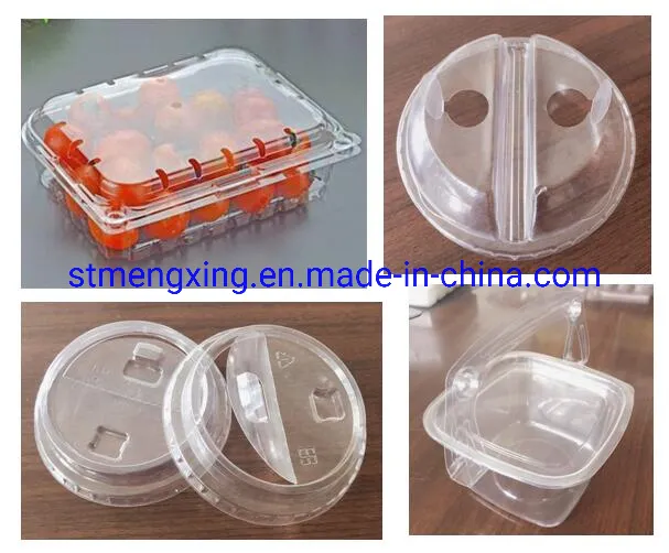 Full-Automatic Multi-Station Plastic Forming Machine (forming/cutting/punching/stacking)