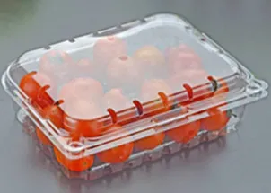 Disposable Plastic Fruit Container Forming Machine (MFPC 7660)