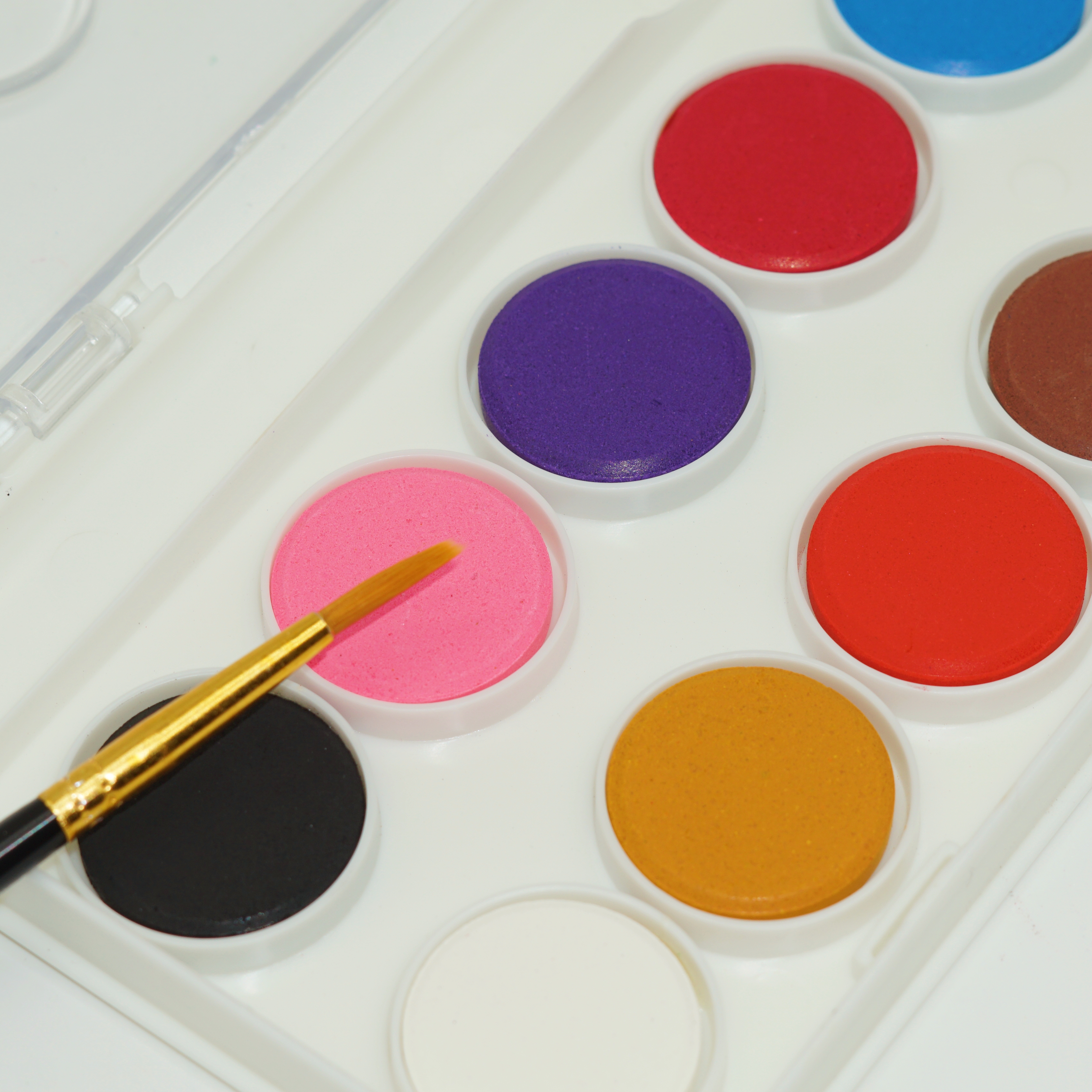 Manufacturer Wholesale Custom 16 Colors Solid Watercolor Paint for Children School Supplies 3
