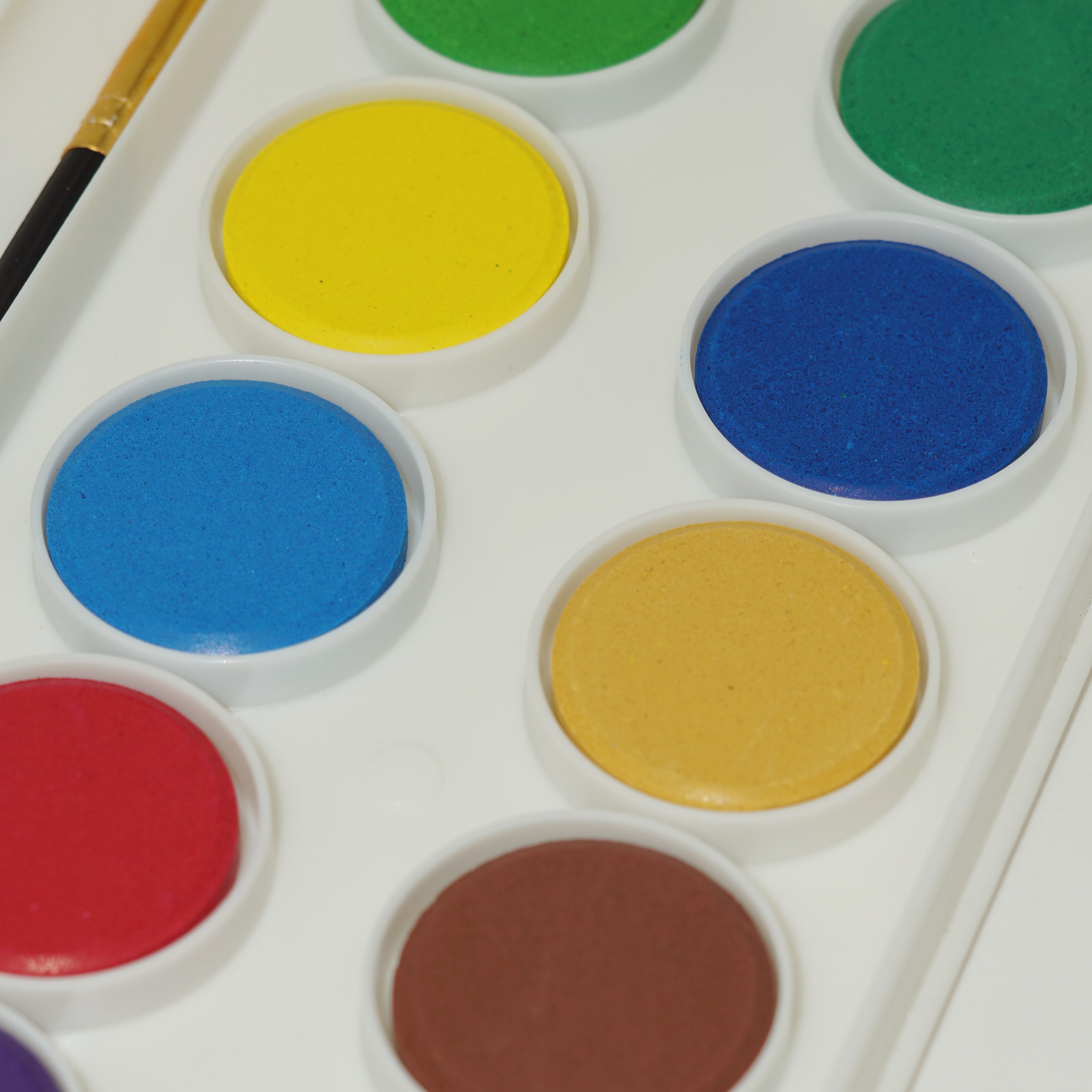 Manufacturer Wholesale Custom 16 Colors Solid Watercolor Paint for Children School Supplies 4