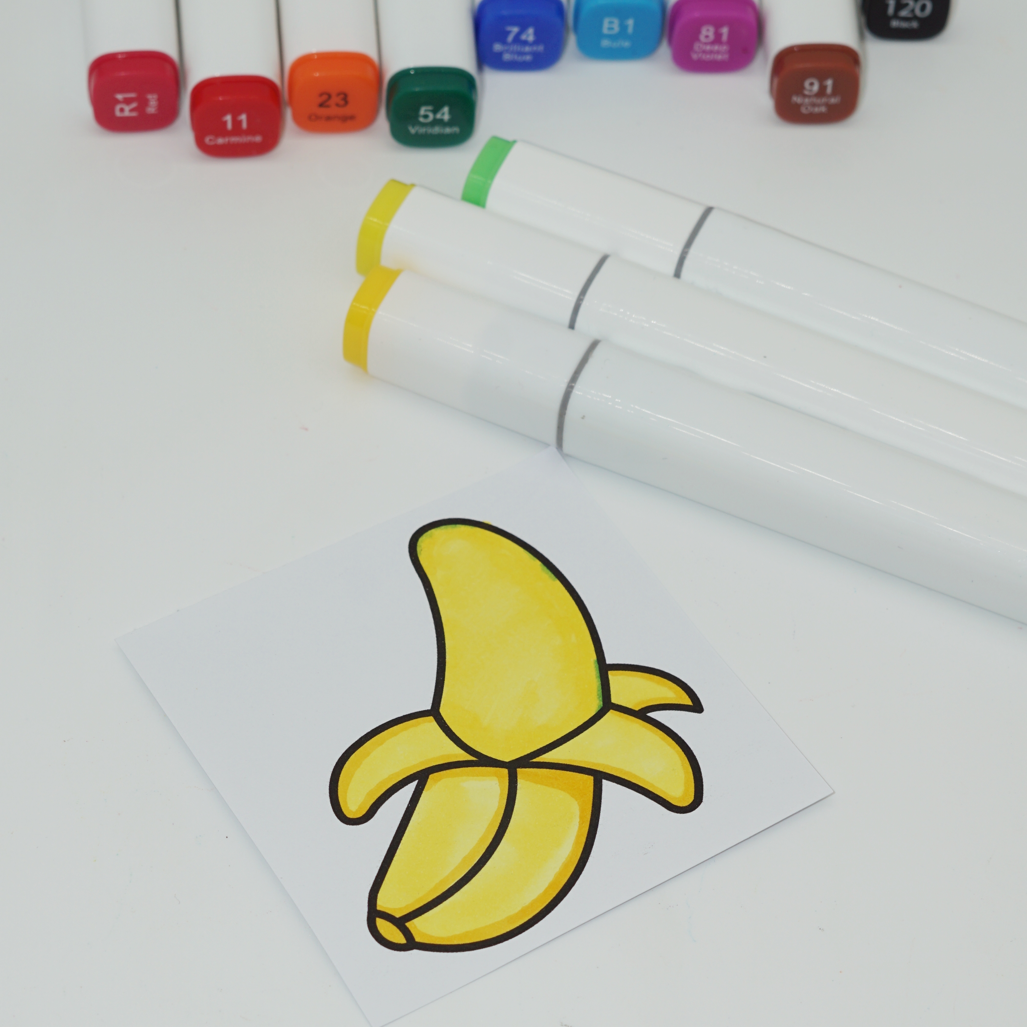 Professional 12 Colors Double Head Alcohol Marker Box for Artist 4