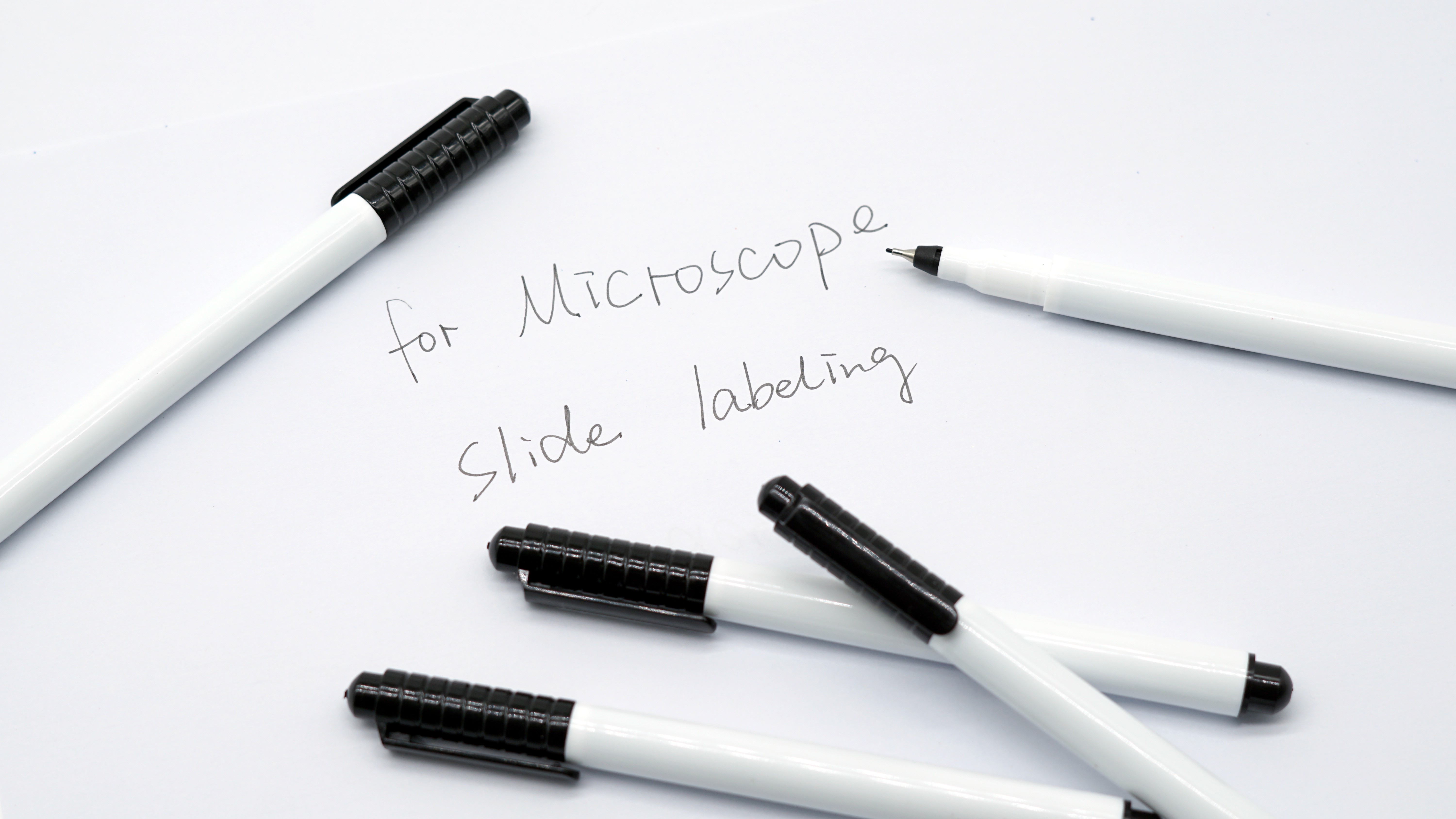 Syringe Tip Black Markers for Microscope Slide Labeling 1