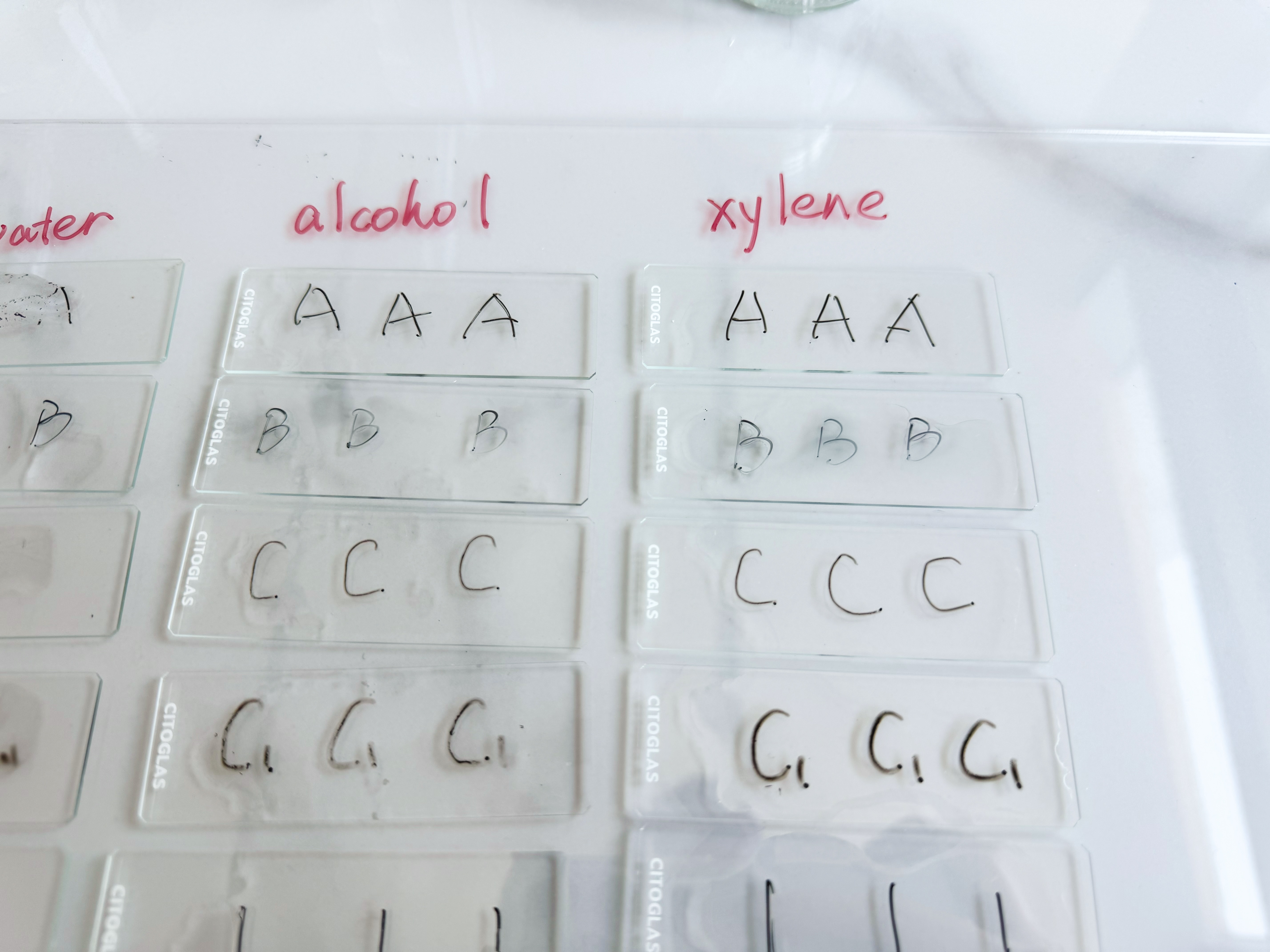 Black Marker for Microscope Slide Labeling Not easy to Peel Off by Chemical Corrosion 7