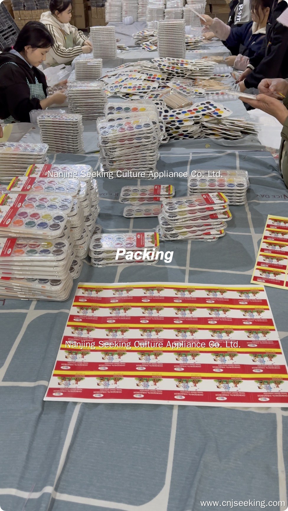 The Whole Production of Semi-moist Watercolor Set in Our Factory | Seeking 6