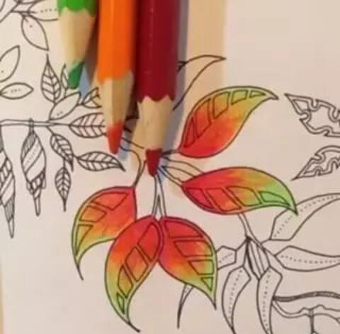Quer saber dicas de coloração para lápis de cor? 2