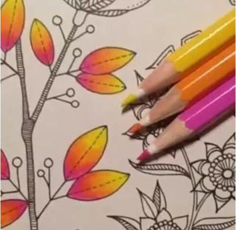 Quer saber dicas de coloração para lápis de cor? 1