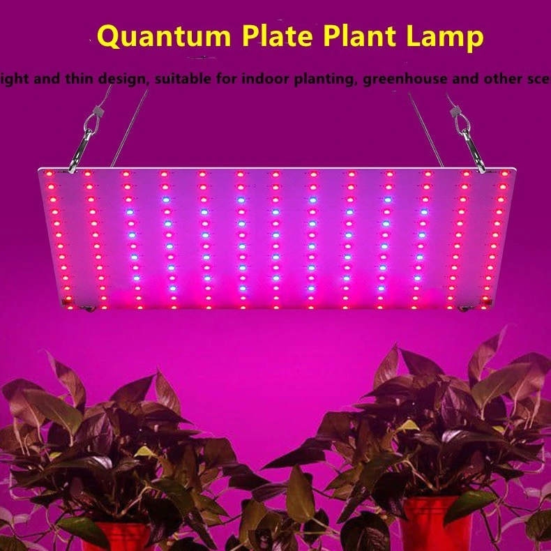LED Grow Light Panel 200W Lamp for Indoor Plants, Full Spectrum with White Blue Red UV IR LEDs Coverage Grow Tent Greenhouse Veg and Bloom Seedlings Hydroponics 1